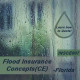Florida: 3 hr All Licenses CE - Flood Insurance Concepts (INSCE007FL3)