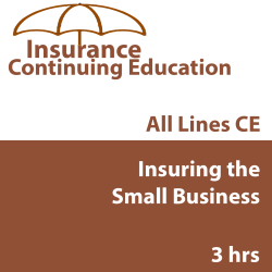 3 hr CE Insuring the Small Business